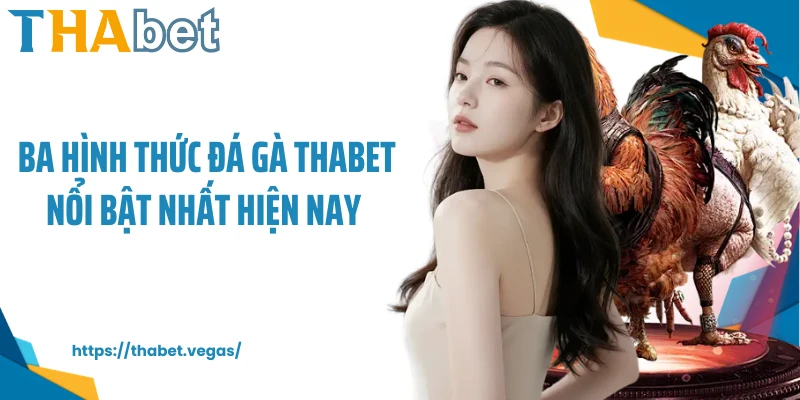 Ba hình thức đá gà Thabet nổi bật nhất hiện nay 