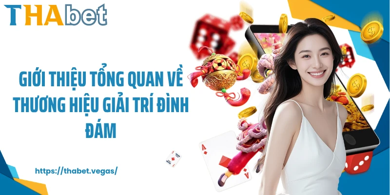 Giới thiệu tổng quan về thương hiệu giải trí đình đám